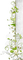White Flowers.Border.Victoriabea - png gratis GIF animado
