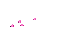 pink fish - Zdarma animovaný GIF animovaný GIF
