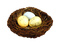 pascua   dubravka4 - 免费PNG 动画 GIF