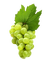 Tournesol94 fruit - darmowe png animowany gif