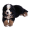 cachorro - PNG gratuit GIF animé