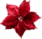 jul-blomma-röd-minou52 - фрее пнг анимирани ГИФ